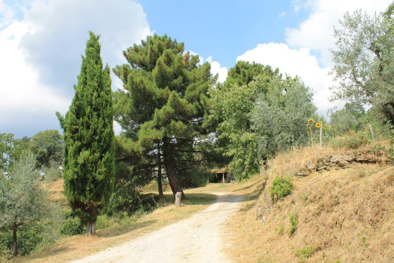 Podere I Rovai-Apt Il Rifugio- In The Heart Of Tuscany Реджелло Экстерьер фото