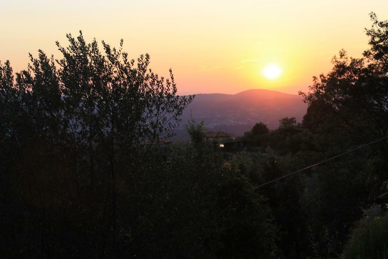 Podere I Rovai-Apt Il Rifugio- In The Heart Of Tuscany Реджелло Экстерьер фото